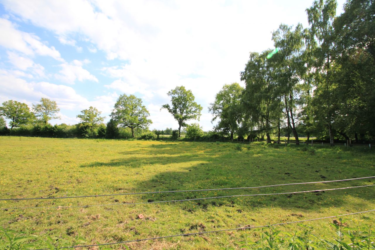 Essen: Ein Paradies am Wasser: Ihr Traumgrundstück wartet auf Sie! 